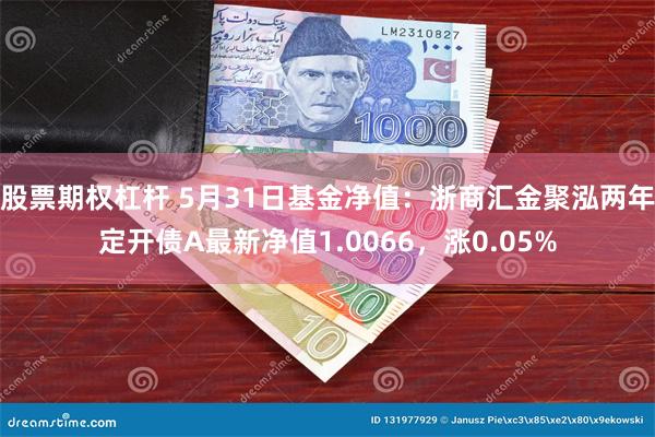 股票期权杠杆 5月31日基金净值：浙商汇金聚泓两年定开债A最新净值1.0066，涨0.05%