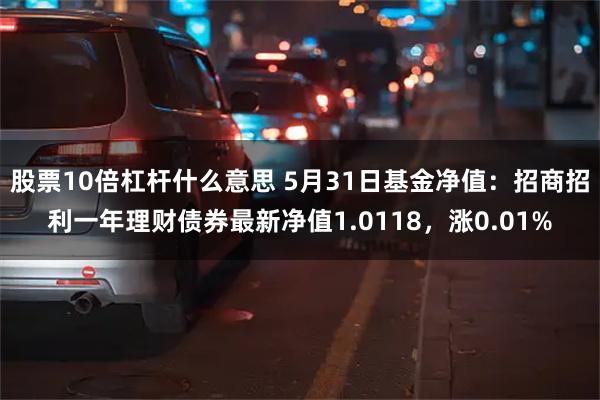 股票10倍杠杆什么意思 5月31日基金净值：招商招利一年理财债券最新净值1.0118，涨0.01%