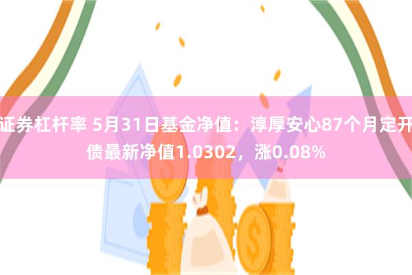 证券杠杆率 5月31日基金净值：淳厚安心87个月定开债最新净值1.0302，涨0.08%