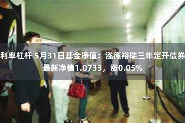 利率杠杆 5月31日基金净值：泓德裕瑞三年定开债券最新净值1.0733，涨0.05%