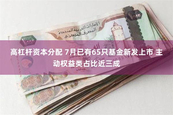 高杠杆资本分配 7月已有65只基金新发上市 主动权益类占比近三成