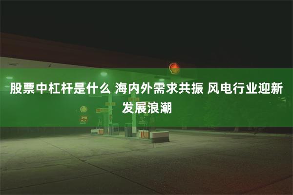 股票中杠杆是什么 海内外需求共振 风电行业迎新发展浪潮