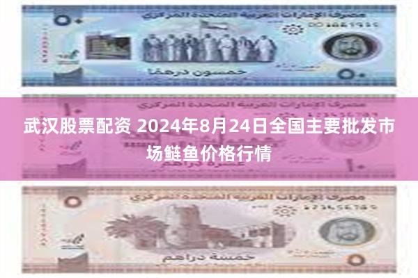 武汉股票配资 2024年8月24日全国主要批发市场鲢鱼价格行情