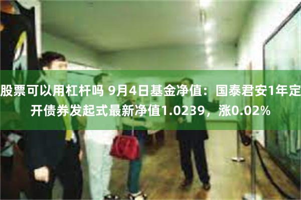 股票可以用杠杆吗 9月4日基金净值：国泰君安1年定开债券发起式最新净值1.0239，涨0.02%