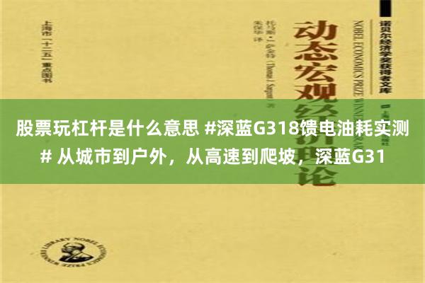 股票玩杠杆是什么意思 #深蓝G318馈电油耗实测# 从城市到户外，从高速到爬坡，深蓝G31