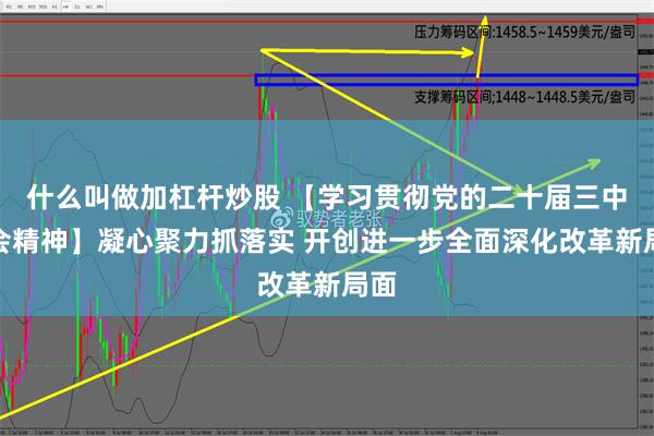 什么叫做加杠杆炒股 【学习贯彻党的二十届三中全会精神】凝心聚力抓落实 开创进一步全面深化改革新局面