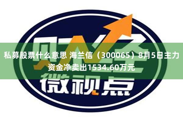 私募股票什么意思 海兰信（300065）8月5日主力资金净卖出1534.60万元