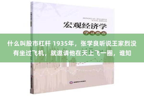 什么叫股市杠杆 1935年，张学良听说王家烈没有坐过飞机，就邀请他在天上飞一圈，谁知