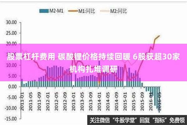 股票杠杆费用 碳酸锂价格持续回暖 6股获超30家机构扎堆调研