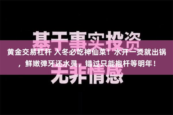 黄金交易杠杆 入冬必吃神仙菜！水开一烫就出锅，鲜嫩弹牙还水灵，错过只能抱杆等明年！