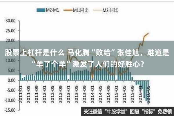 股票上杠杆是什么 马化腾“败给”张佳旭，难道是“羊了个羊”激发了人们的好胜心？