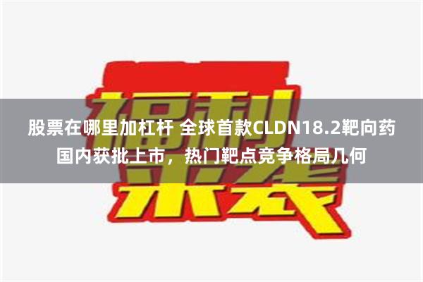 股票在哪里加杠杆 全球首款CLDN18.2靶向药国内获批上市，热门靶点竞争格局几何